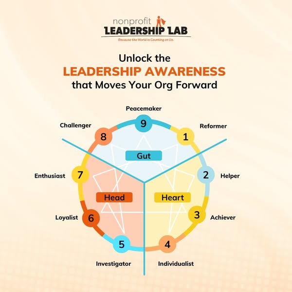 Nonprofit Leadership Lab