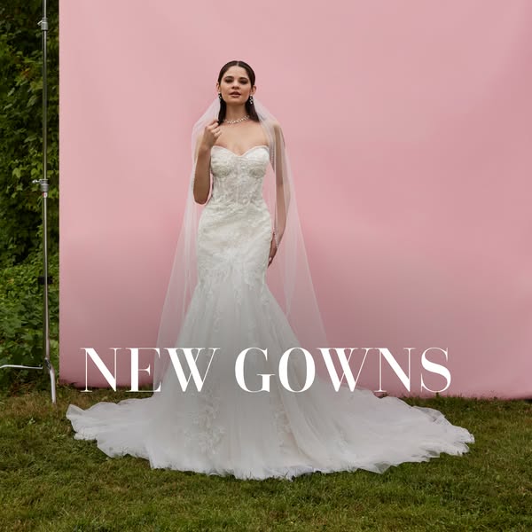 David's Bridal