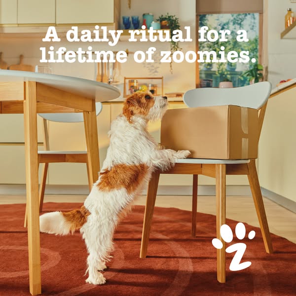 Zesty Paws