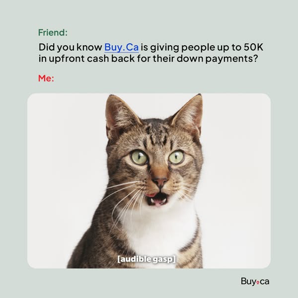Buy.ca
