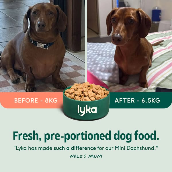 Lyka