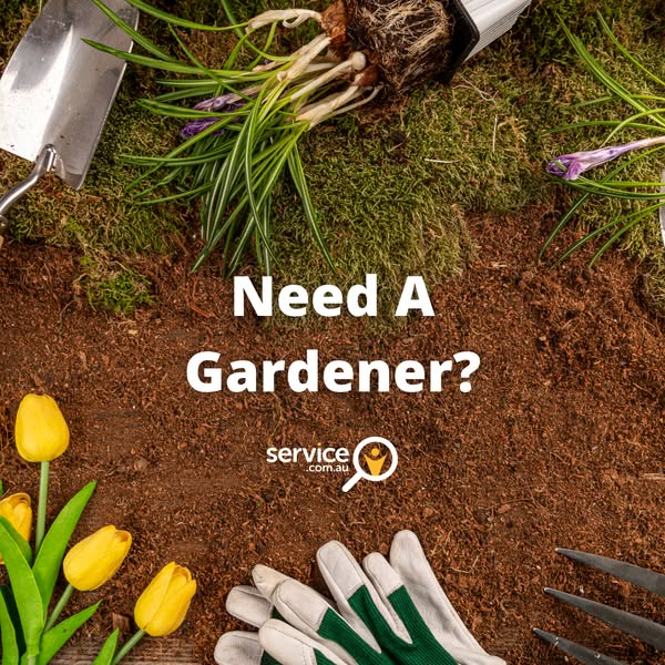 Service.com.au