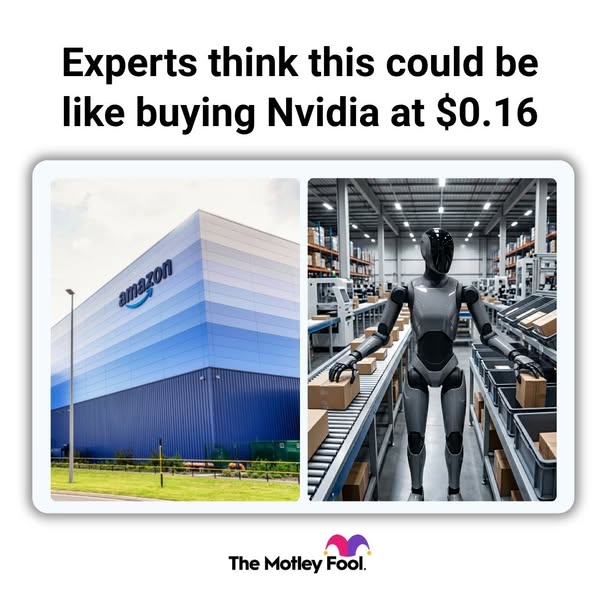 The Motley Fool