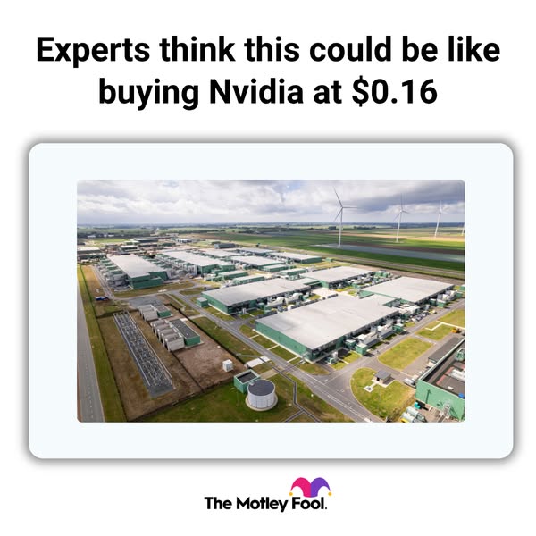 The Motley Fool