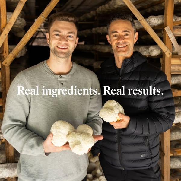 Real Mushrooms