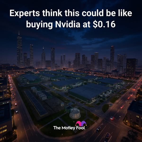 The Motley Fool